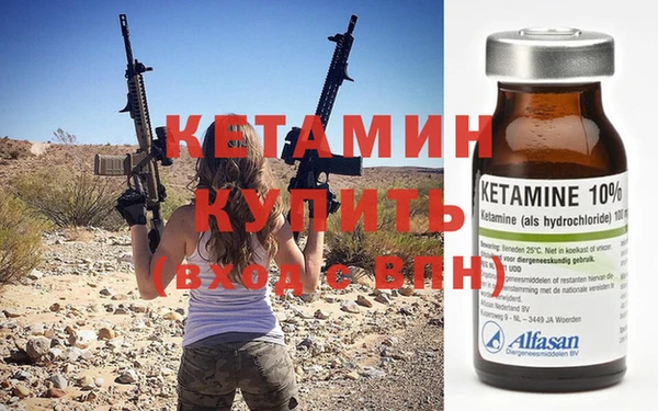трава Новозыбков