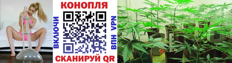 OMG tor  Правдинск  Каннабис VHQ 